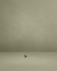 Brown Velour A-Line Slip Maxi Dress