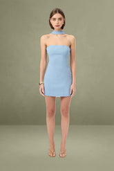 Ariel Bodice Mini Dress