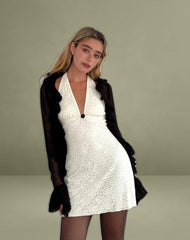 Codami Halter Neck Mini Dress in Rose Lace Ivory