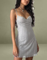 Shania Mini Dress in Silver Grey Lace Mesh