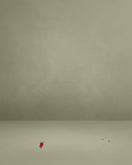 Wine Red Bishop Sleeve Maxi Dress