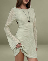 Sevila Long Sleeve Mini Dress in Mesh Sage Mini ZigZag
