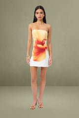 Mila Strapless Mini Dress