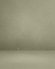 Black See Through A-Line Mini Dress