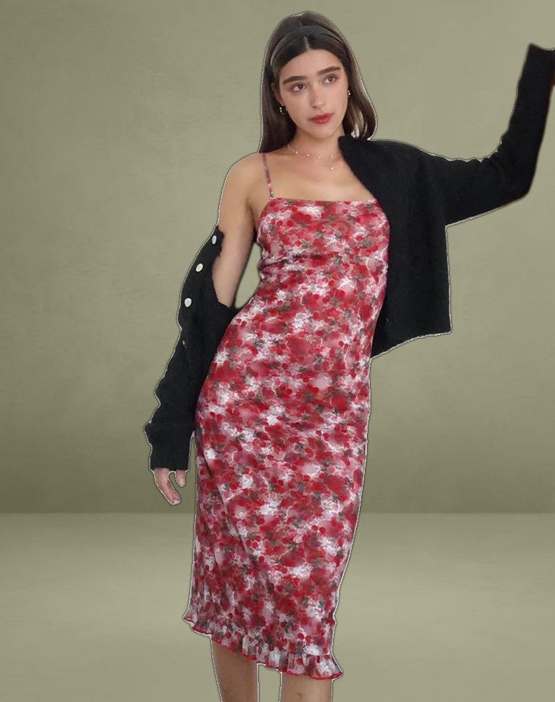 Nawari Midi Dress in Printed Lace Cherry