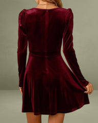 Wine Red Velour A-Line Mini Dress