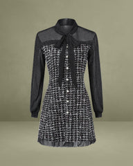Black See Through A-Line Mini Dress