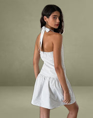 Panja Mini Dress in Small Stripe Vertical Grey