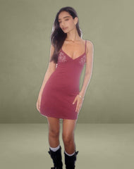 Dimaya Mini Dress in Burgundy with Floral Embroidery