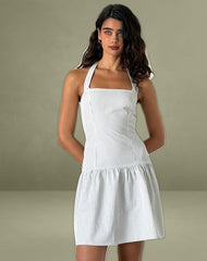 Panja Mini Dress in Small Stripe Vertical Grey