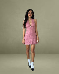 Codami Halterneck Mini Dress in Lace Dusty Rose